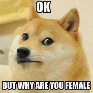 Meet your Posher, Santana